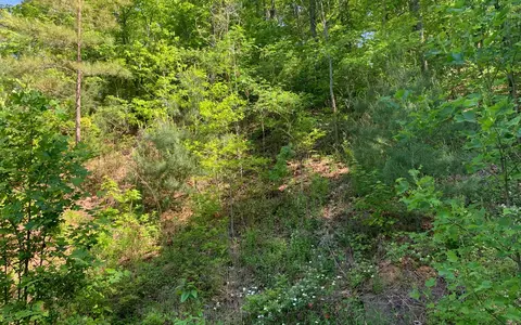 lot4 A Trillium Hts, Brasstown, NC 28902