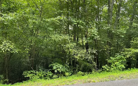 lot7 Bear Trl, Hiawassee, GA 30546