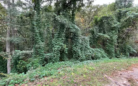 lot9 Rustic Rdg, Young Harris, GA 30582