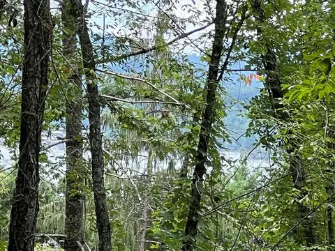 1 Buena Vista Lane, Hayesville, NC 28904