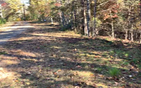 2 Ashley Trl # B, Warne, NC 28909