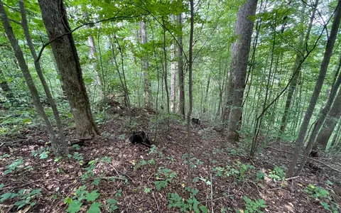 lot19 Bear Trl, Hiawassee, GA 30546