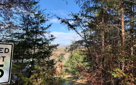 25 Mountain Knoll Ln, Warne, NC 28909