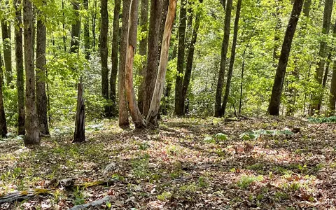 lot1 C Lakewood Hls, Hayesville, NC 28904