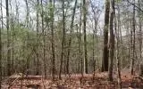 00 Lady Ln, Murphy, NC 28906