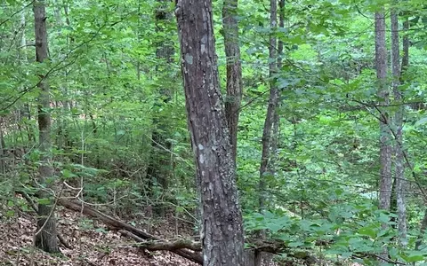 lot18 Bruce Mtn, Blairsville, GA 30512