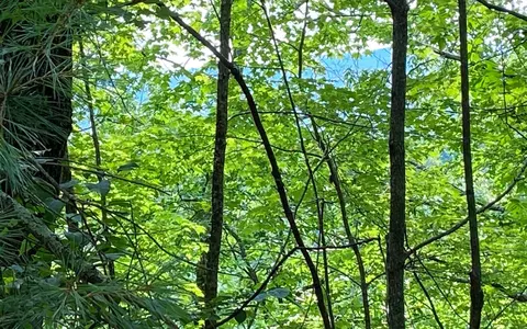 lot645 Wedowee Ct, Ellijay, GA 30540