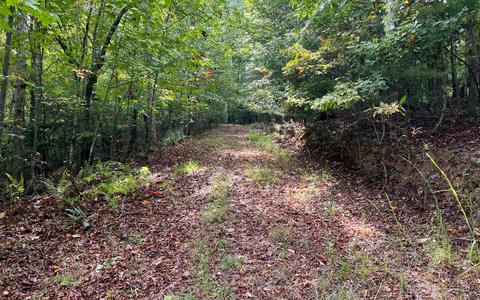 171 Pine Trl, Warne, NC 28909 photo 1