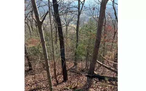 56 Indian Trl # C, Hayesville, NC 28904