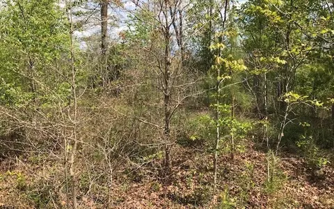 29 Brasstown View Road, Murphy, NC 28906 photo 10