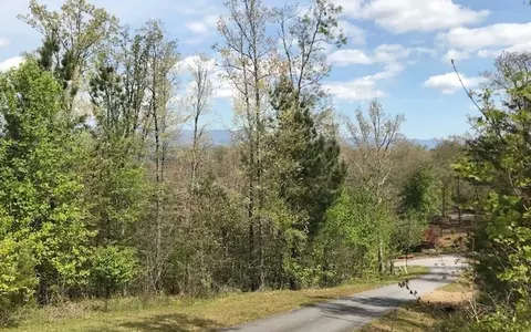 29 Brasstown View Road, Murphy, NC 28906 photo 11