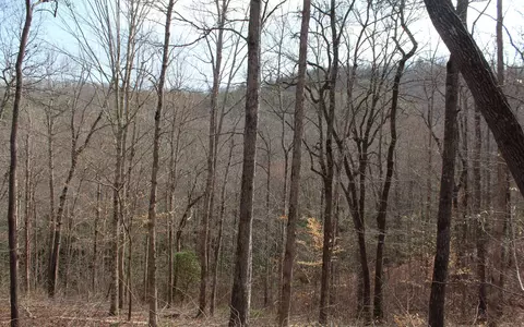 7 Fodder Creek Mill Rd, Hiawassee, GA 30546