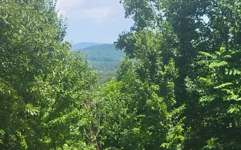 24 Mountain Knoll Ln, Warne, NC 28909