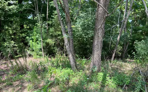 lot59 Fires Creek Cove Rd, Hayesville, NC 28904