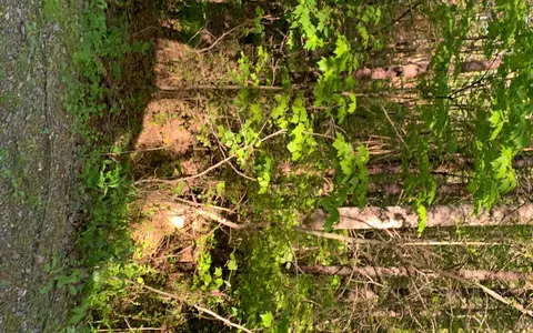 lot Apt 4 Hunter Valley Rd, Murphy, NC 28906 photo 6