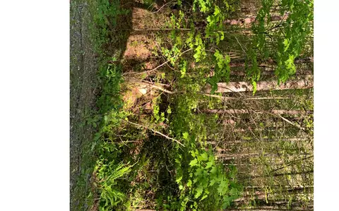 lot Apt 4 Hunter Valley Rd, Murphy, NC 28906 photo 9