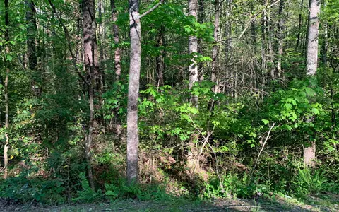 lot Apt 4 Hunter Valley Rd, Murphy, NC 28906 photo 11