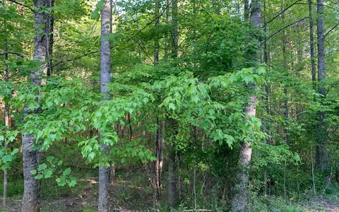 lot Apt 4 Hunter Valley Rd, Murphy, NC 28906 photo 7