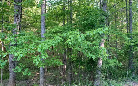 lot Apt 4 Hunter Valley Rd, Murphy, NC 28906 photo 5