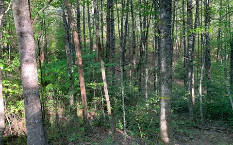 lot Apt 4 Hunter Valley Rd, Murphy, NC 28906 photo 12