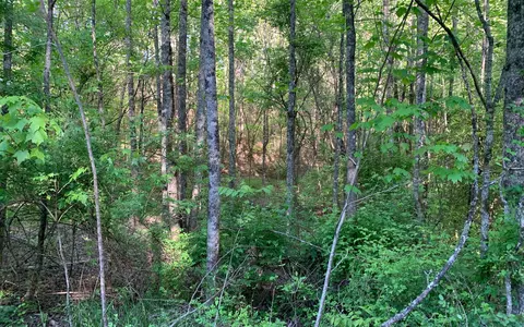 lot Apt 4 Hunter Valley Rd, Murphy, NC 28906 photo 10