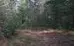 00 Hwy 515, Talking Rock, GA 30175