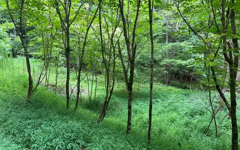 lot12 The Preserve At Beach Mtn, Brasstown, NC 28902
