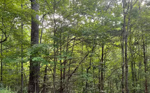 lot13 The Preserve At Beach Mtn, Brasstown, NC 28902