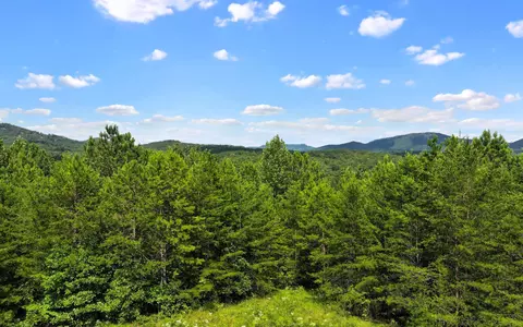 lot1 N View Dr, Mineral Bluff, GA 30559