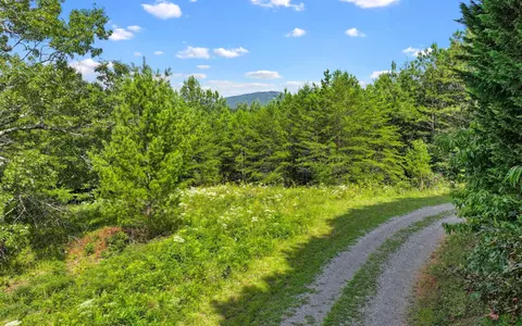 lot2 N View Dr, Mineral Bluff, GA 30559
