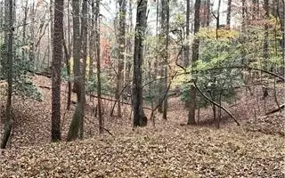 666 Abbey Ct, Ellijay, GA 30540