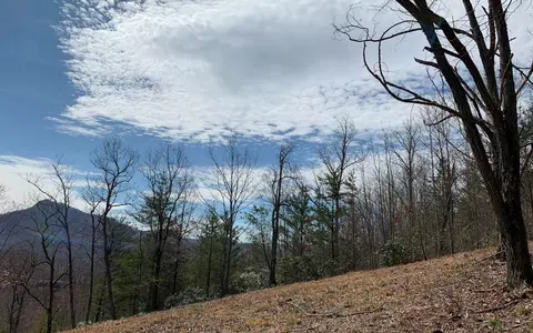 Lot42 Dan Knob, Hayesville, NC 28904 photo 8