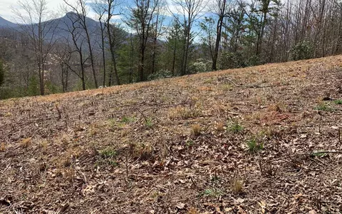 Lot42 Dan Knob, Hayesville, NC 28904 photo 13