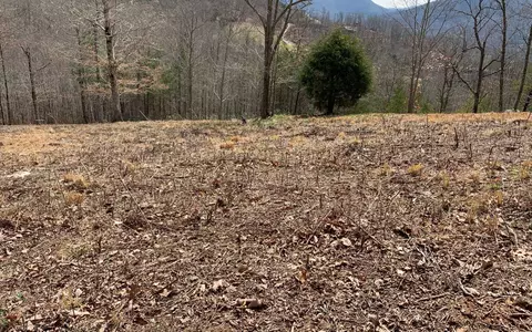 Lot42 Dan Knob, Hayesville, NC 28904 photo 3
