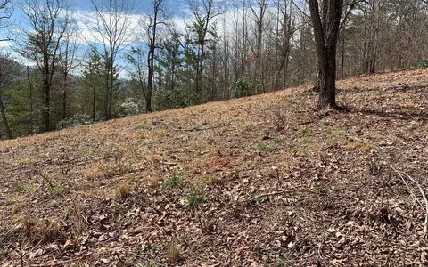 Lot42 Dan Knob, Hayesville, NC 28904 photo 12