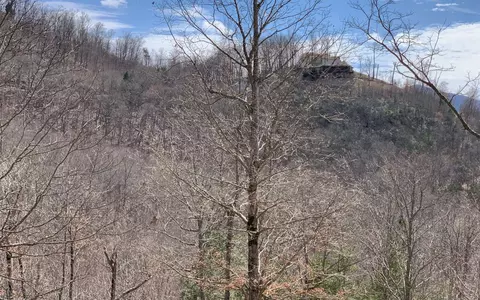 Lot42 Dan Knob, Hayesville, NC 28904 photo 6