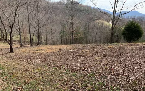 Lot42 Dan Knob, Hayesville, NC 28904 photo 17