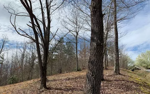 Lot42 Dan Knob, Hayesville, NC 28904 photo 9