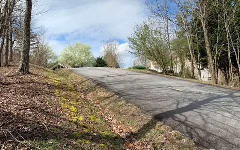 Lot42 Dan Knob, Hayesville, NC 28904 photo 5