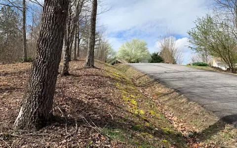 Lot42 Dan Knob, Hayesville, NC 28904 photo 10