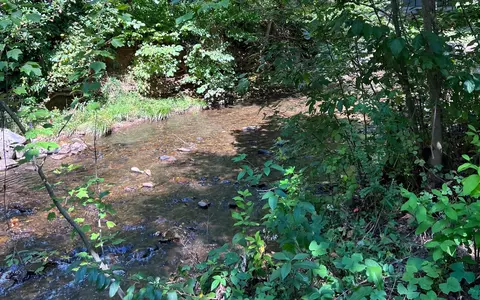 285 Mountain Mdw, Hayesville, NC 28904