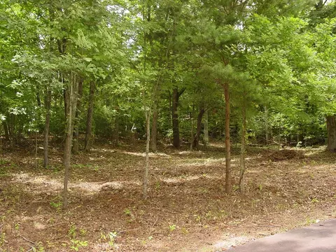 1481 Phillips Cove Dr, Hiawassee, GA 30546