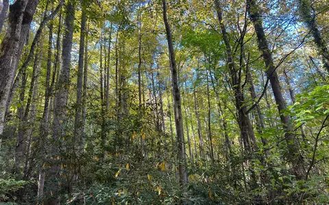 1 Tusquittee Road, Hayesville, NC 28904