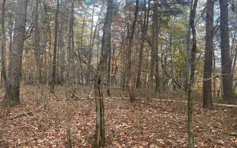 00 Firetower Rd, Jasper, GA 30143 photo 26