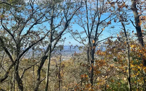00 Firetower Rd, Jasper, GA 30143 photo 50