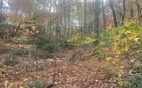 00 Firetower Rd, Jasper, GA 30143 photo 32