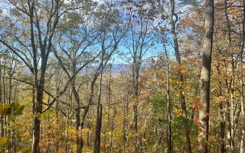 00 Firetower Rd, Jasper, GA 30143 photo 48