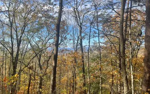 00 Firetower Rd, Jasper, GA 30143 photo 47