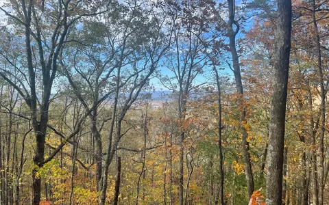 00 Firetower Rd, Jasper, GA 30143 photo 42