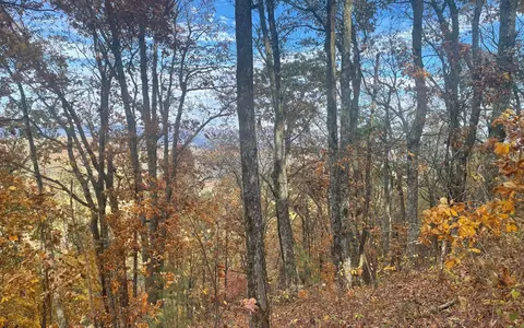 00 Firetower Rd, Jasper, GA 30143 photo 46